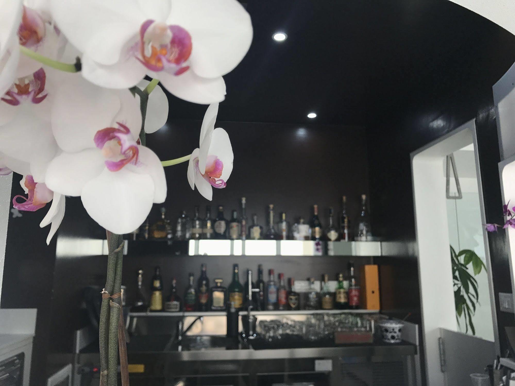 Quihotel Porto Cesareo Zewnętrze zdjęcie